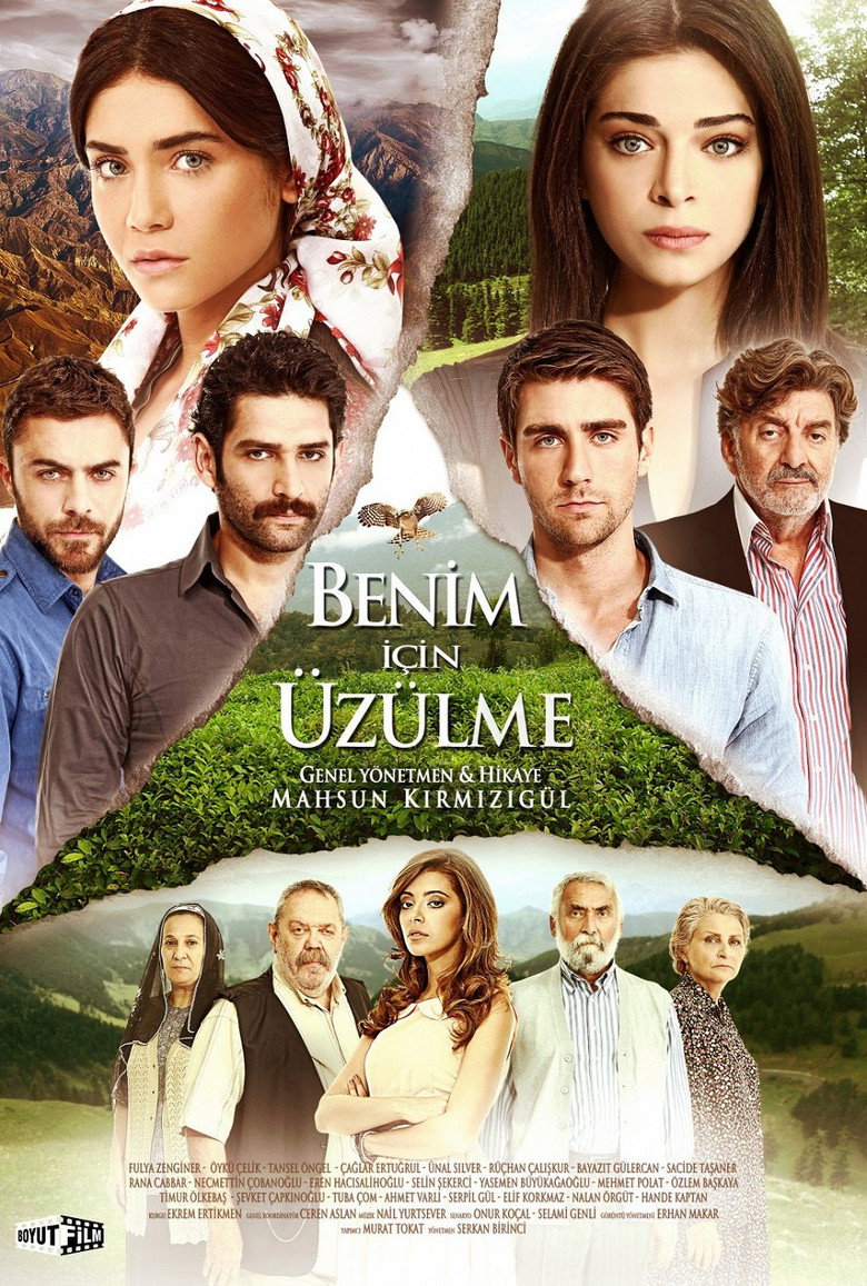 Poster filma ili serije Ne brini za mene (2012)