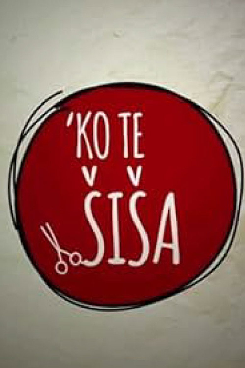 Poster filma ili serije Ko te šiša (2017)