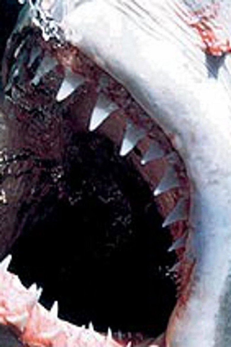 Poster filma ili serije Killer Instincts: Jaws (2004)