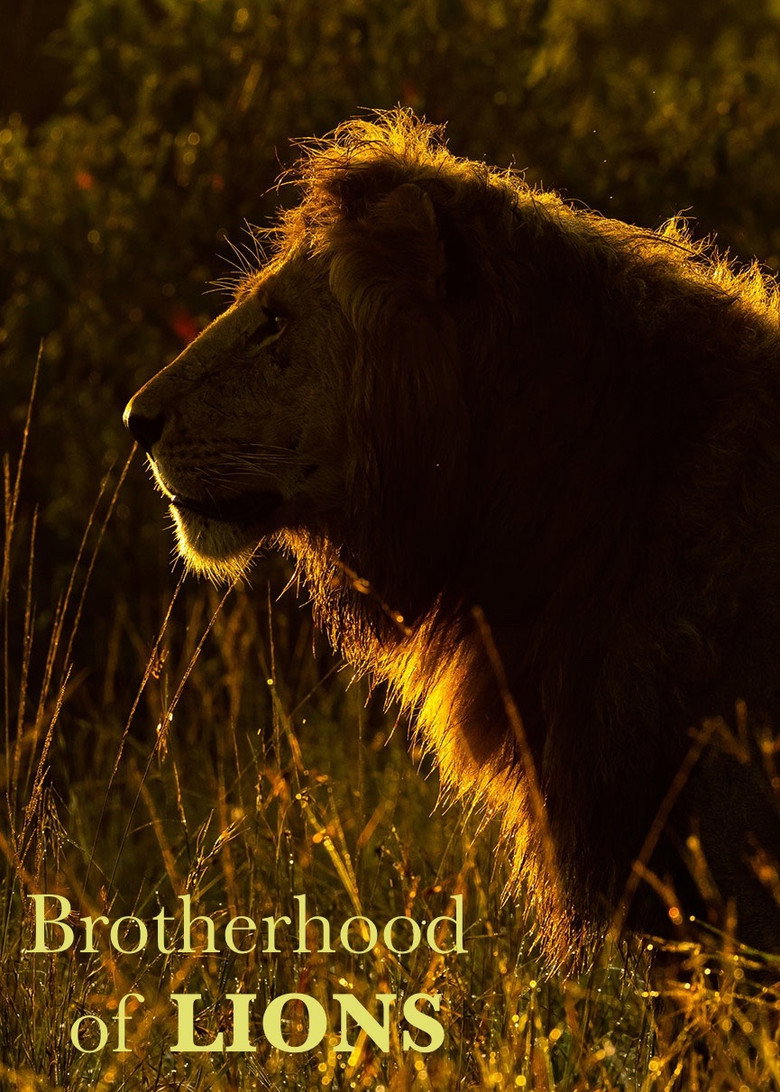 Poster filma ili serije Lavlje bratstvo / Brotherhood of Lions (2024)