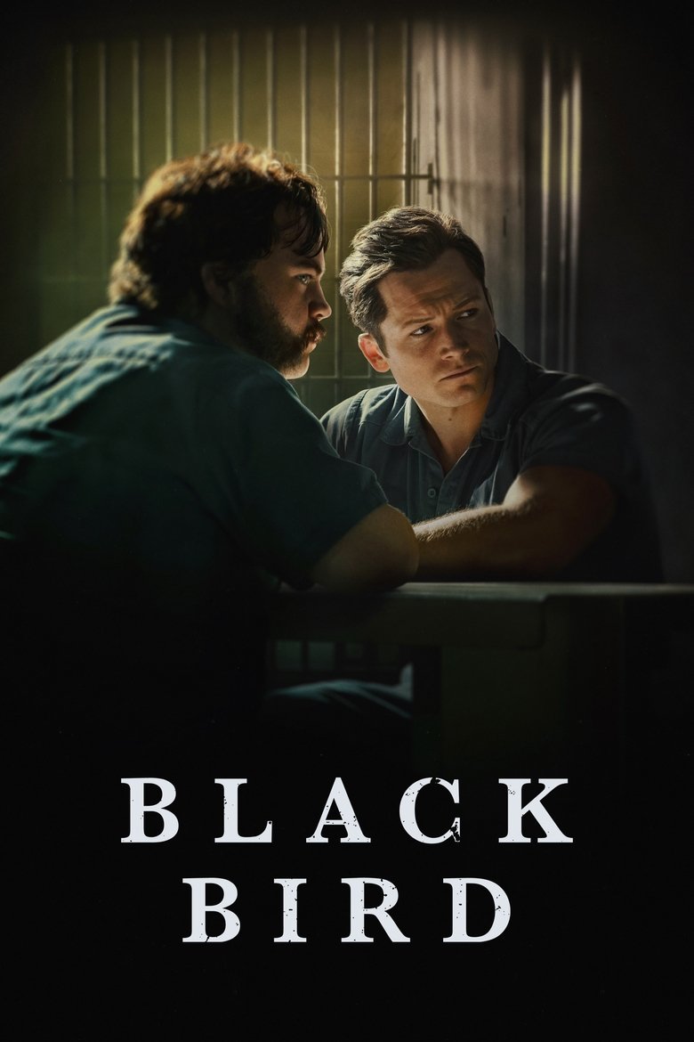 Poster filma ili serije Black Bird (2022)