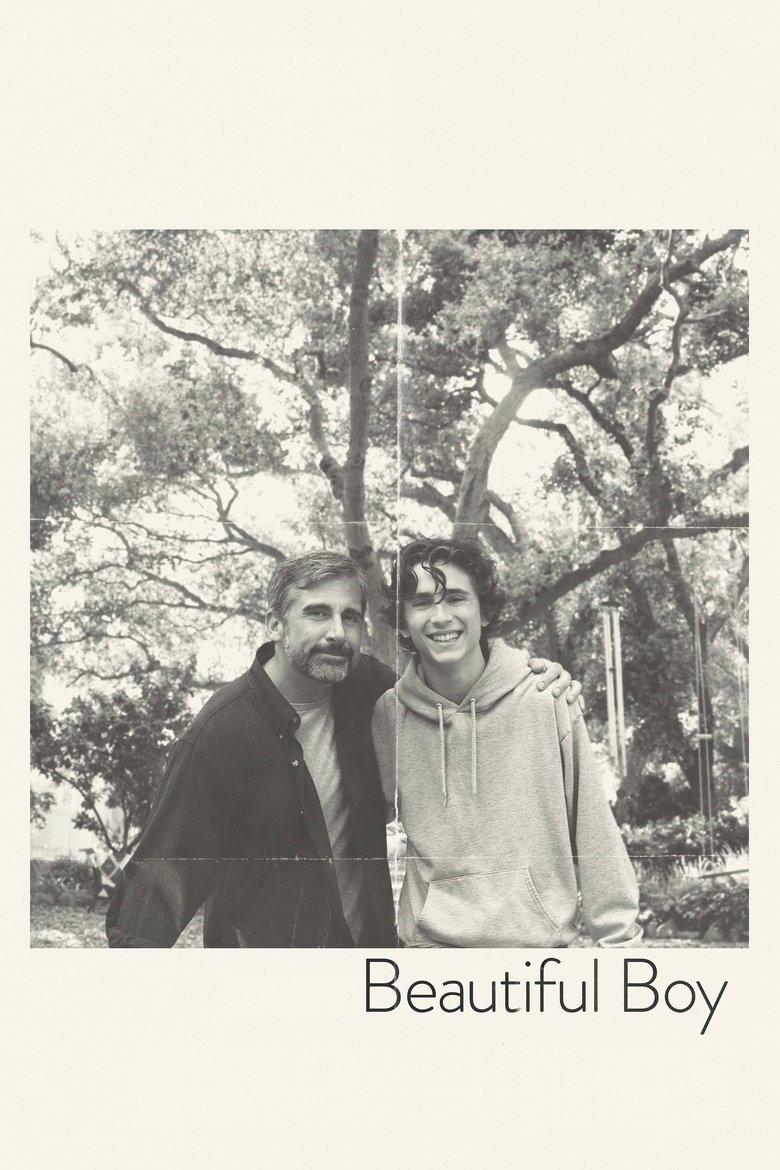 Poster filma ili serije Beautiful Boy (2018)
