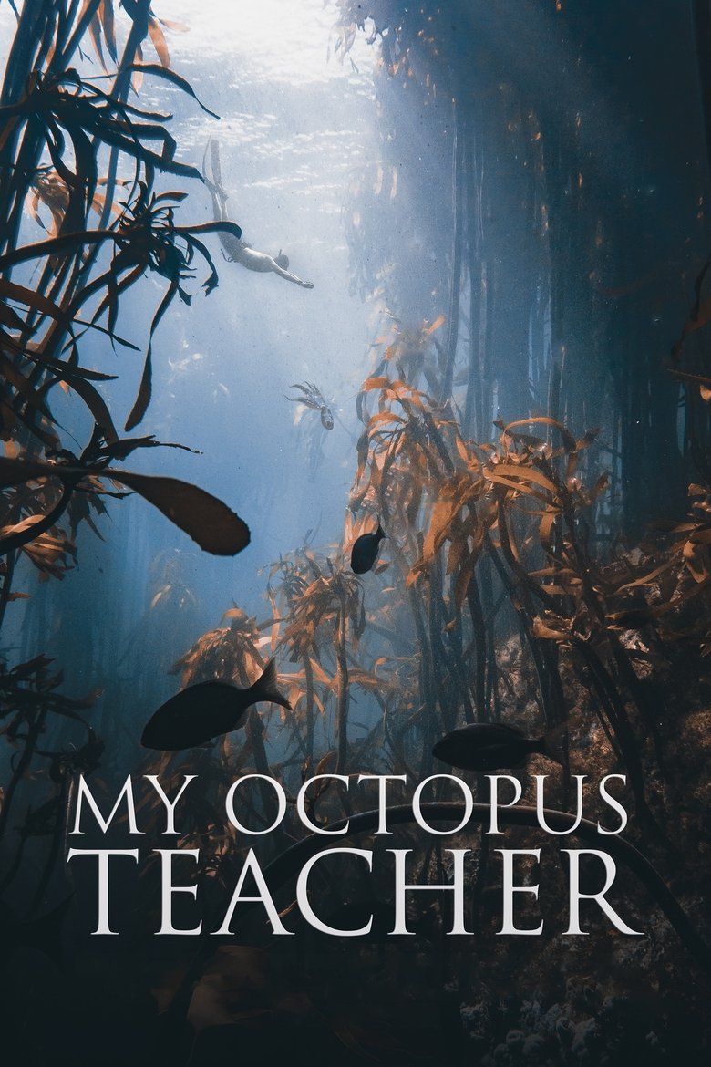 Poster filma ili serije My Octopus Teacher (2020)