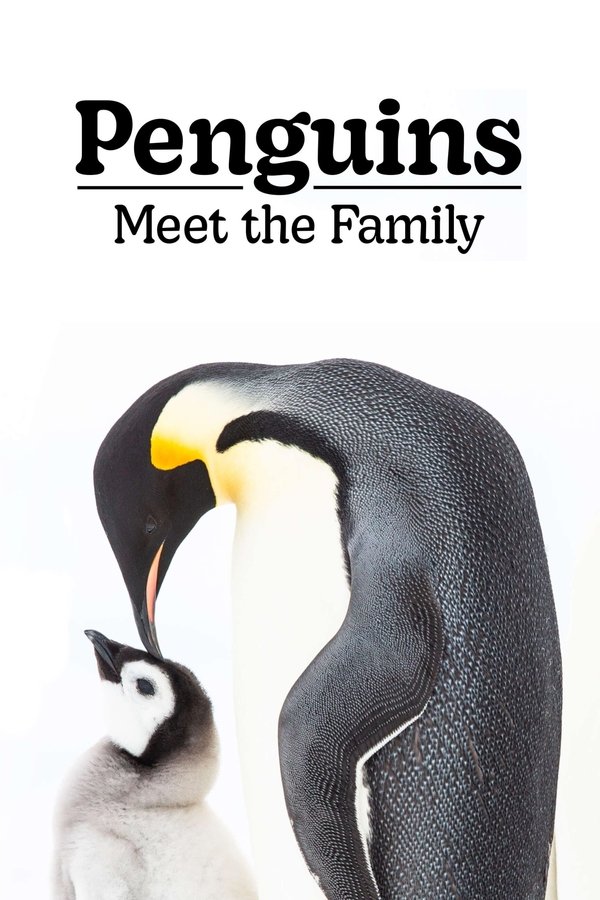 Poster filma ili serije Penguins: Meet the Family (2020)