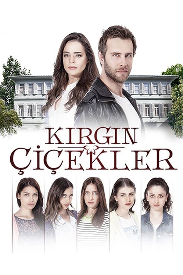 Poster filma ili serije Kırgın Çiçekler (2015)