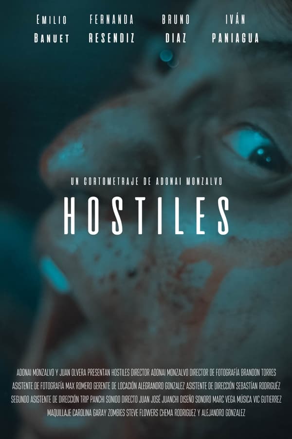 Poster filma ili serije HOSTILES